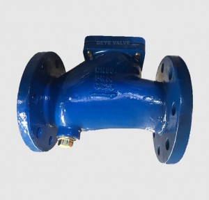 GGG50 Check Valve CV-H-009