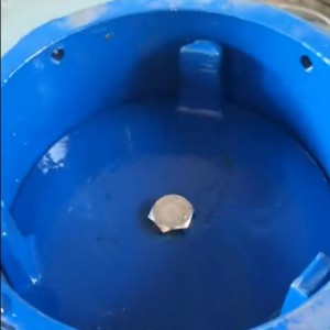 Cast Iron foot check valves with SS screen (CV-R-01)
