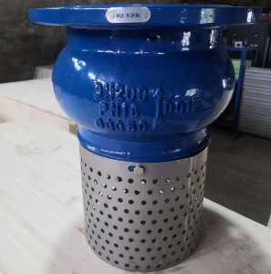 Cast Iron foot check valves with SS screen (CV-R-01)