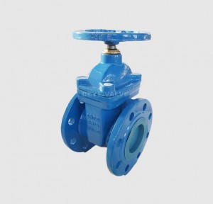 Resilient PN25 Ductile iron flanged Gate Valve (GV-X-04)