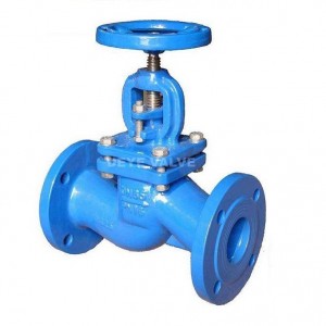 CI globe valve with brass seat ( G-J-01)