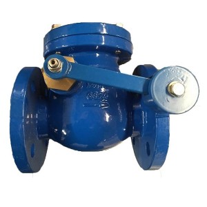 Resilent swing check valves with EPDM seat CV-Z-01