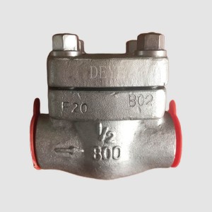 Forged steel piston check Valve