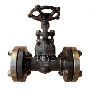 cast 150LBS LCC low temperature Cryogenic Gate Valve (GV-150-10CL)