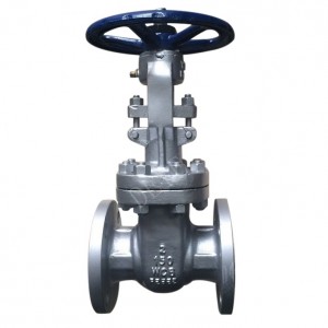 API Alloy 20 150LBS FLANGED Gate Valve