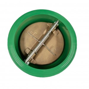 Double Disc Check Valve