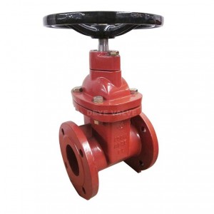 Cast Iron ANSI brass seated Gate Valve GV-H-AF06