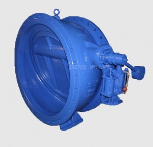 Europe style for Double Sphere Air Valve -
 GGG50 Check Valve CV-H-001 – Deye
