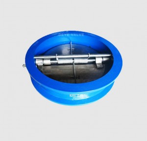 Double Disc Check Valve