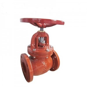 CI globe valve with brass seat ( G-J-01)