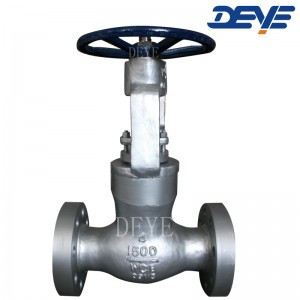 1500LBS Pressure seal Globe Valve with flange GVC-001500-F