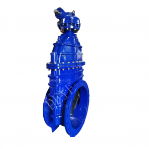 Cast Iron Gate Valve with ISO 5211 top flange ( GV-H-T03)