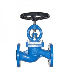 CI globe valve with brass seat ( G-J-01)