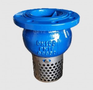 GGG50 Foot Check Valve