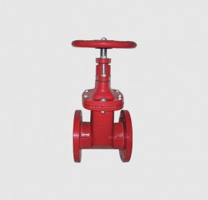 Cast Iron ANSI brass seated Gate Valve GV-H-AF06