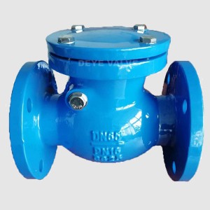 Discount Price Metal Seat Check Valve -
 GGG50 Check Valve CV-F-02 – Deye