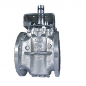 Eccentric plug Valve PV-PN16-12F