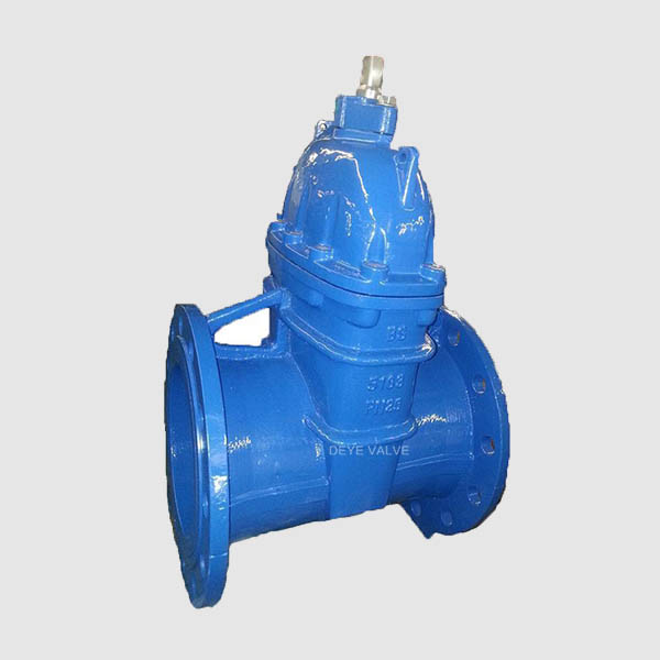 Factory directly Elastic Check Valve – Cast Iron Gate Valve GV-H-10 – Deye detail pictures