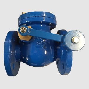 Swing Check Valve with Level Weight