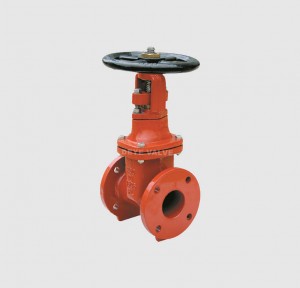 Cast iron ANSI heavy  RS Gate Valve GV-H-AF03
