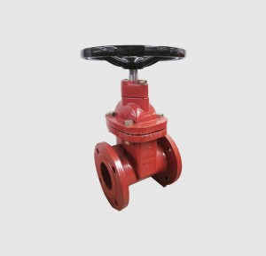 ANSI 150LBS Cast Iron NRS Gate Valve (GV-H-05)