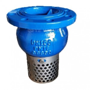 Cast Iron foot check valves with SS screen (CV-R-01)