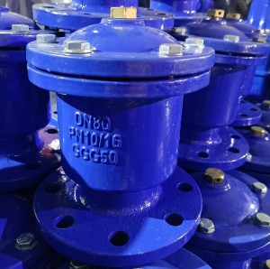 Air release valve with isolation valve A-F-01