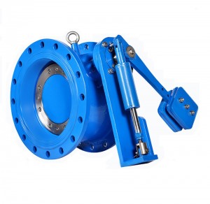 Resilent swing check valves with EPDM seat CV-Z-01
