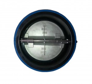 Double Disc Check Valve