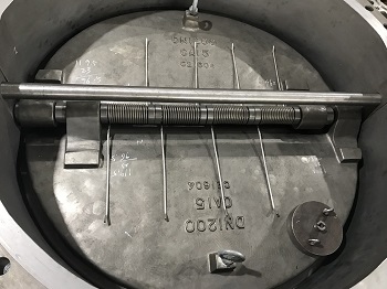 The metal seated check valves we can supply