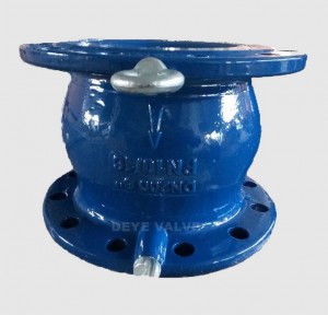 GGG50 Check Valve CV-A-11