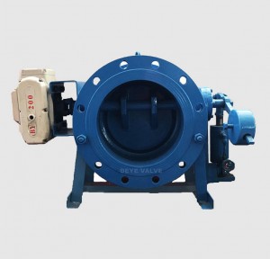GGG50 Check Valve CV-H-002