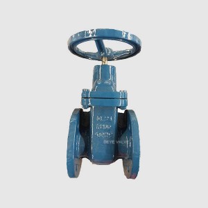 Super Purchasing for Double Offset Butterfly Valve -
 Cast Iron Gate Valve V-H-11 – Deye