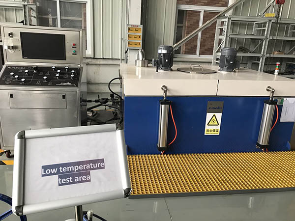 Low temperature test for cryogentic vale