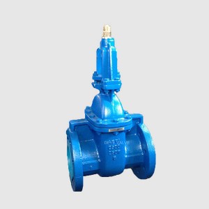 Excellent quality Air Release Valve -
 Cast Iron Gate Valve GV-H-08 – Deye