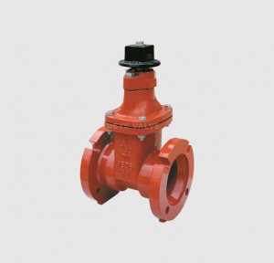Cast Iron ANSI MJXMJ Gate Valve GV-H-A03