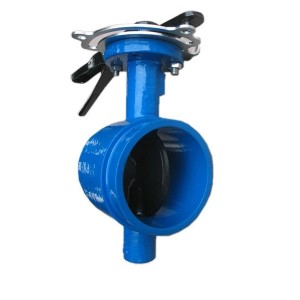 Chinese wholesale Din Pn16 Butterfly Valve -
 Eccentric Butterfly Valve BFV-1009 – Deye