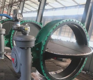 Ebonited Double Eccentric Butterfly valve