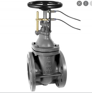 Forged steel 800LBS welded flanged Gate Valve GVF-00800-WF